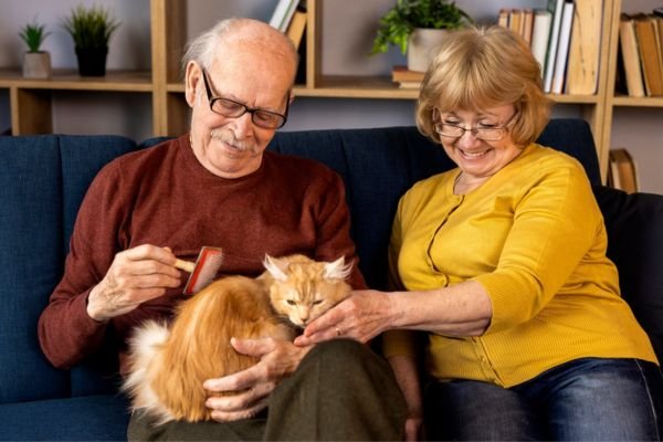 Free Pet Care For Seniors